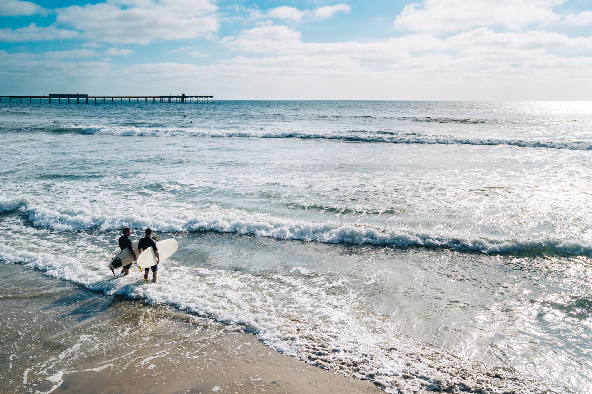 Photo 7 by Dom Martin.jpg