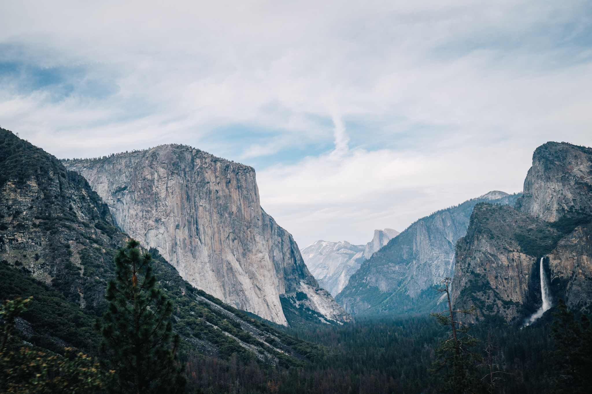 Photo 15 by Dom Martin.jpg