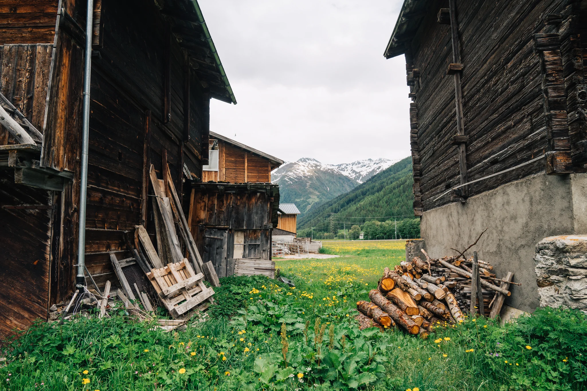 Photo 81 by Dom Martin.jpg