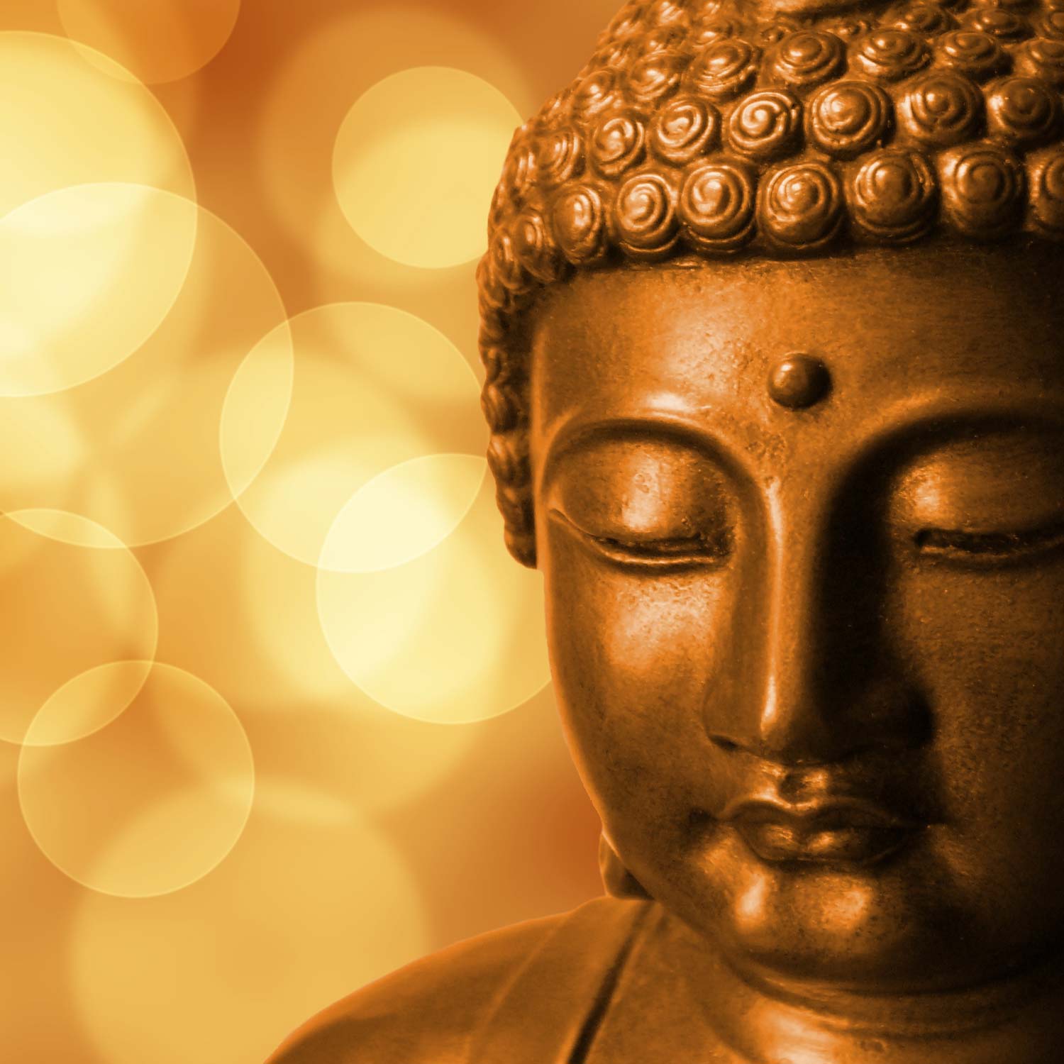 Heidi-Schwarz_Thai-Yoga-Workshop.jpg