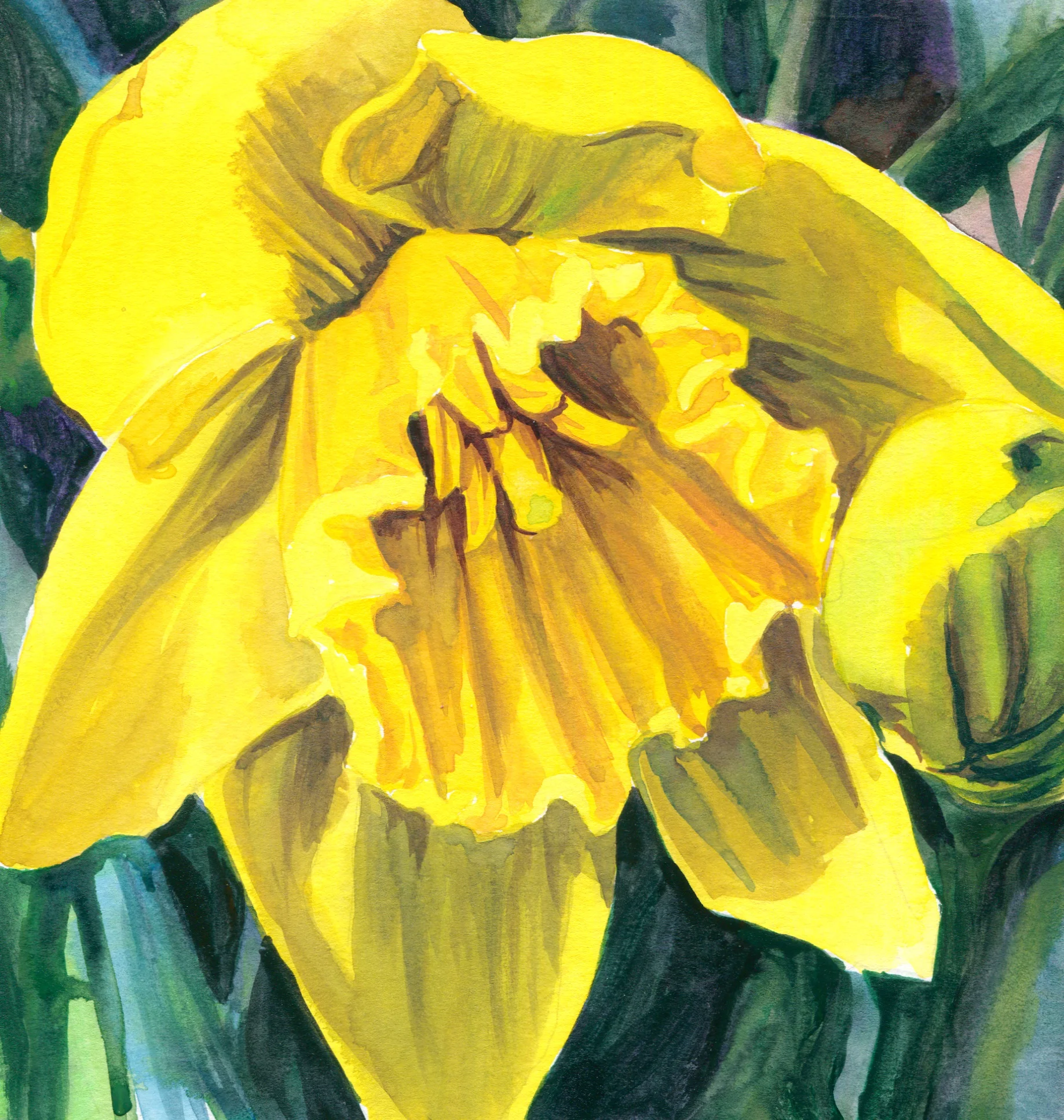 daffodil6.jpg