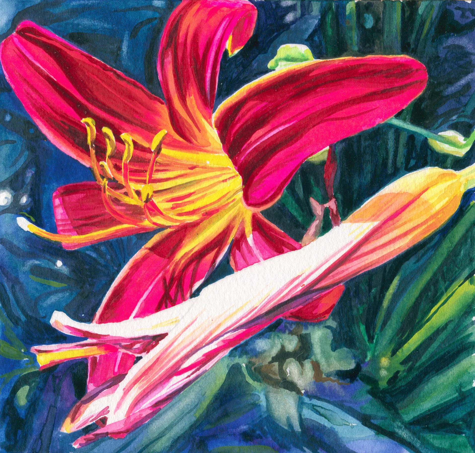 lily5.jpg