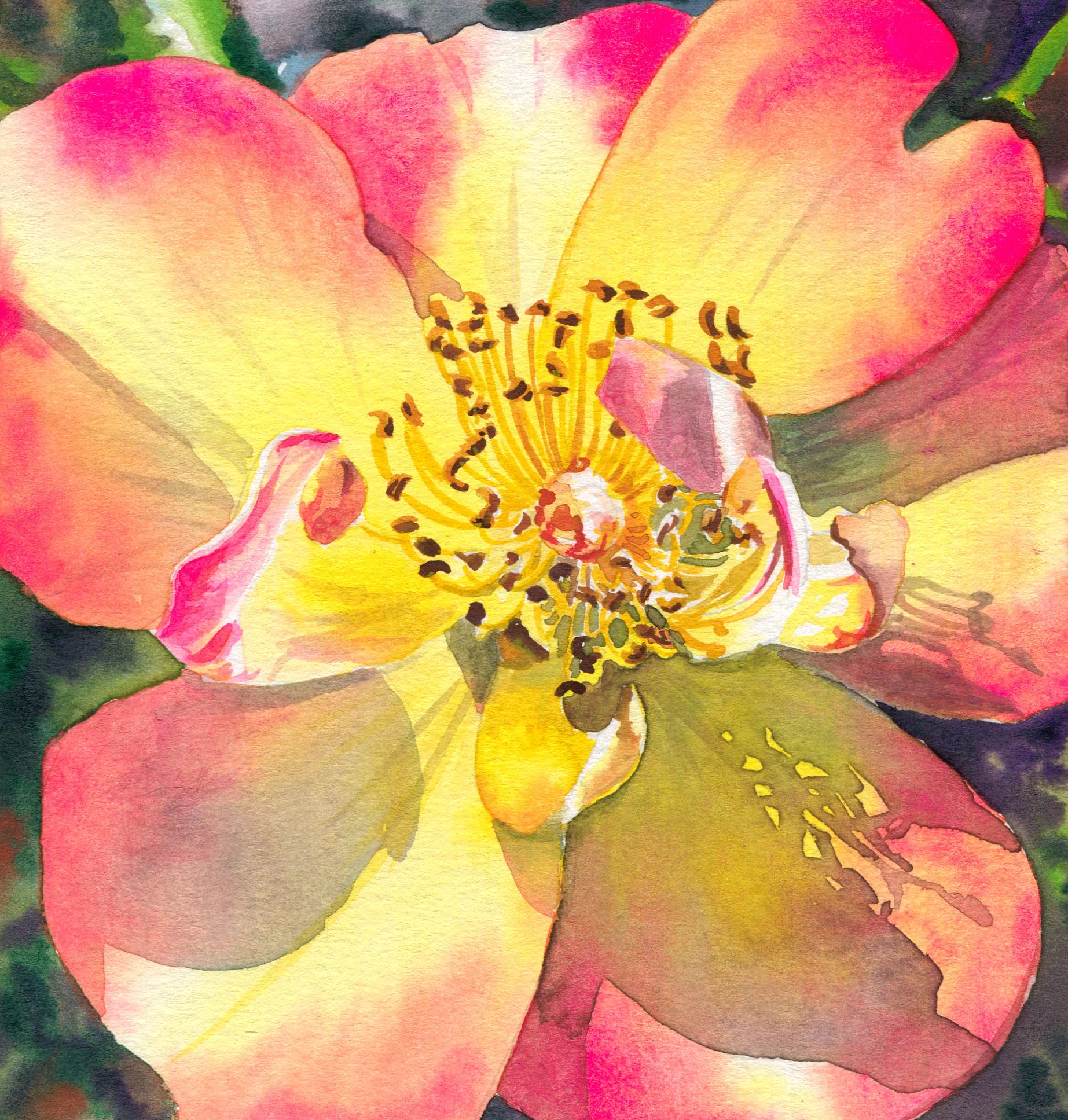 peachrose6.jpg