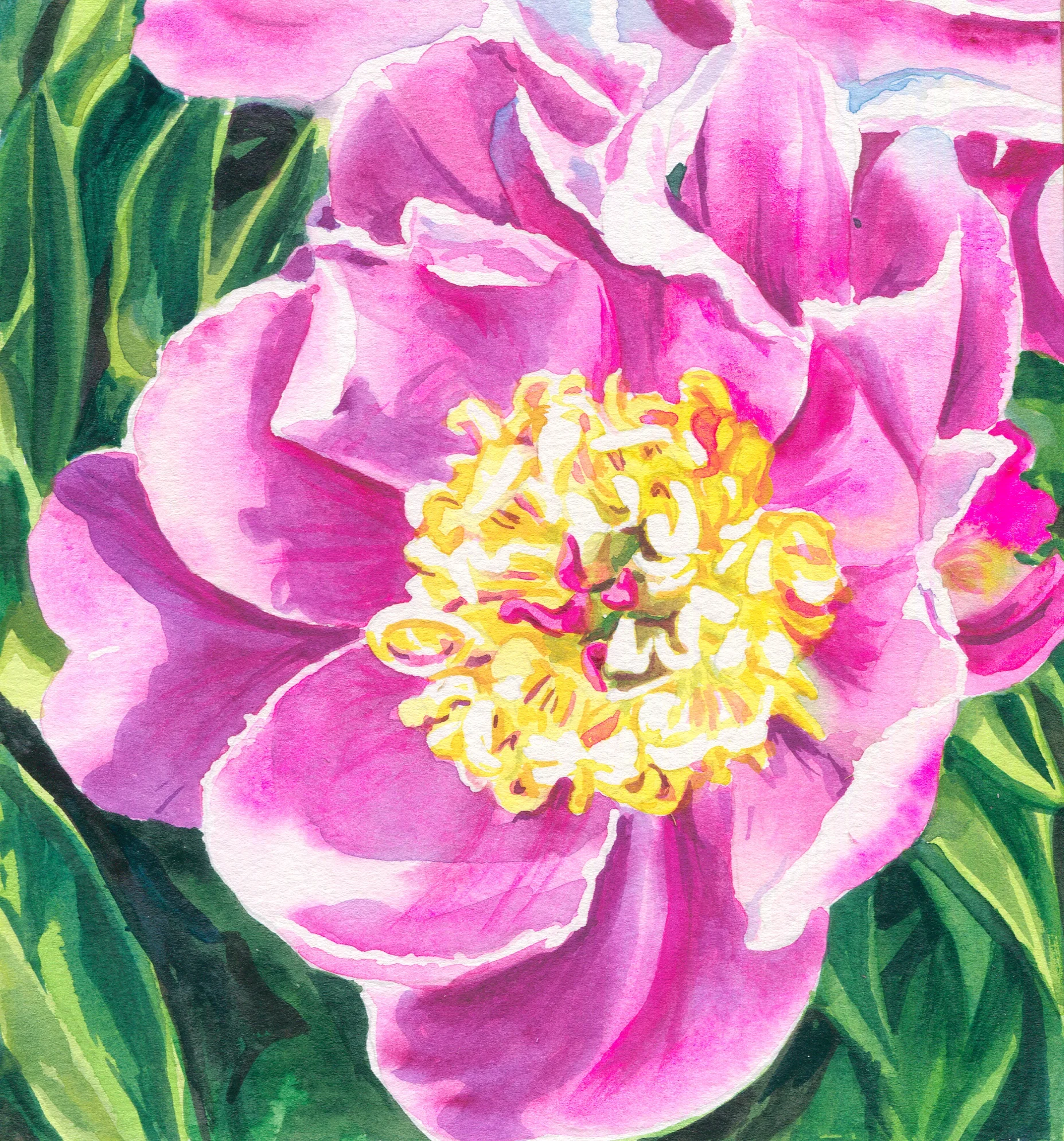 peony6.jpg