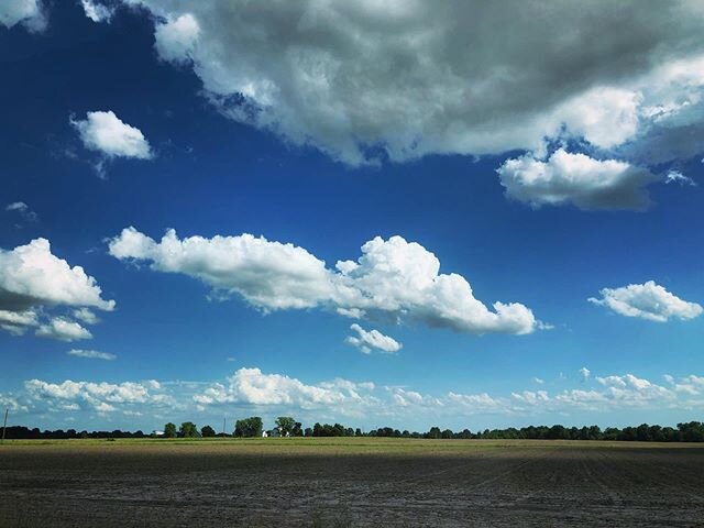 Jeff and I leave the house once or maybe twice a week now, so everyday fields, clouds, and barns are even more fascinating to me.