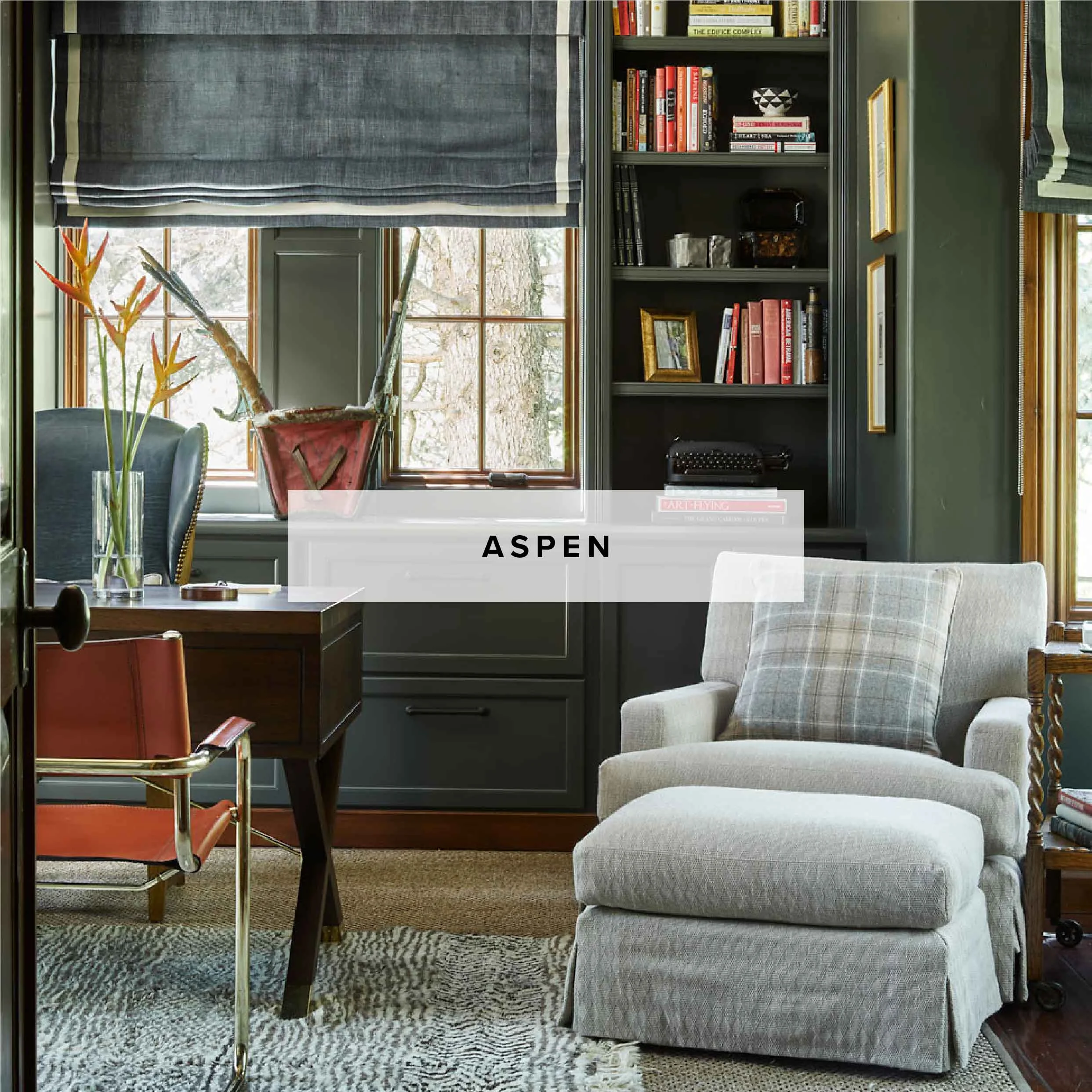 ASPEN_square_title.jpg