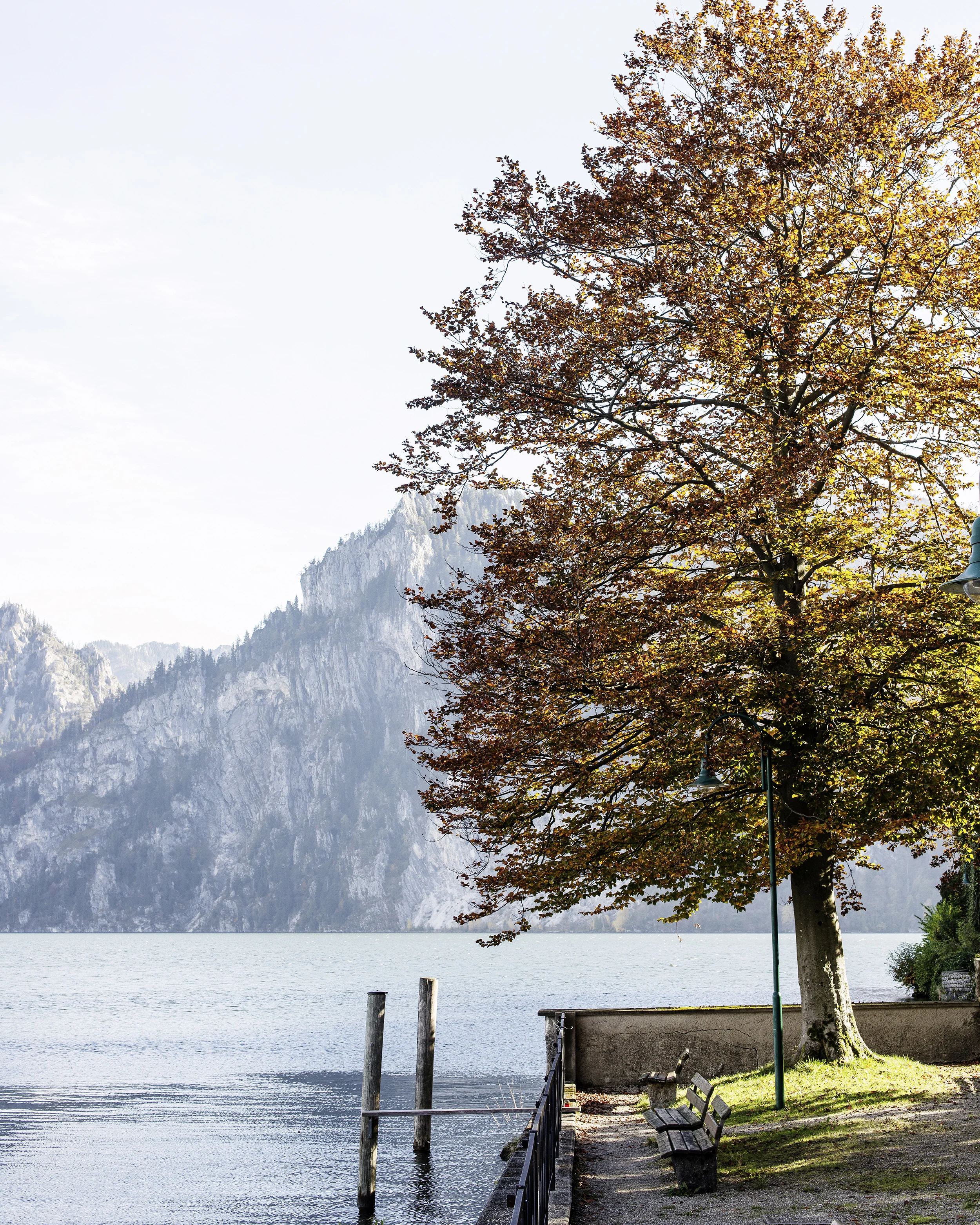 traunsee_1298_2013_fin.jpg