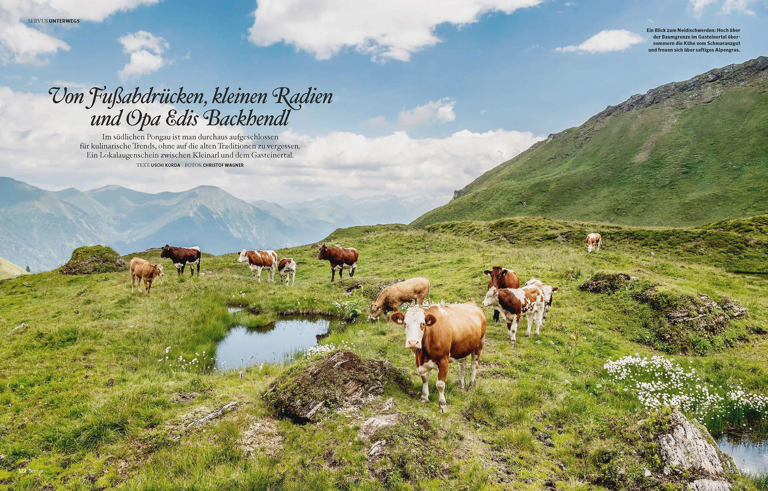 17 seitige kulinarische Reportage / GUTE KÜCHE 2019