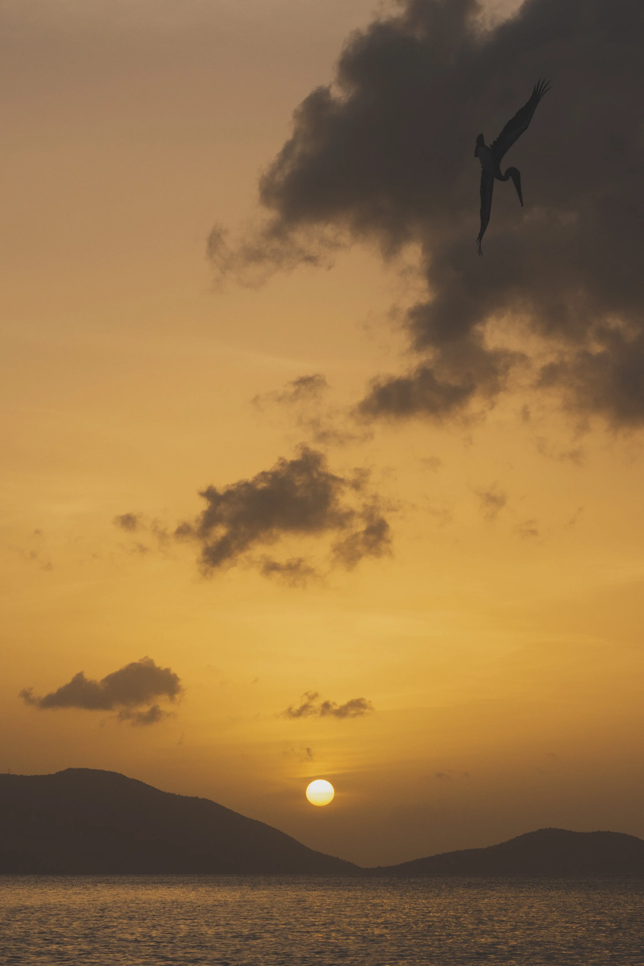 LUC_4220 copy (1).JPG