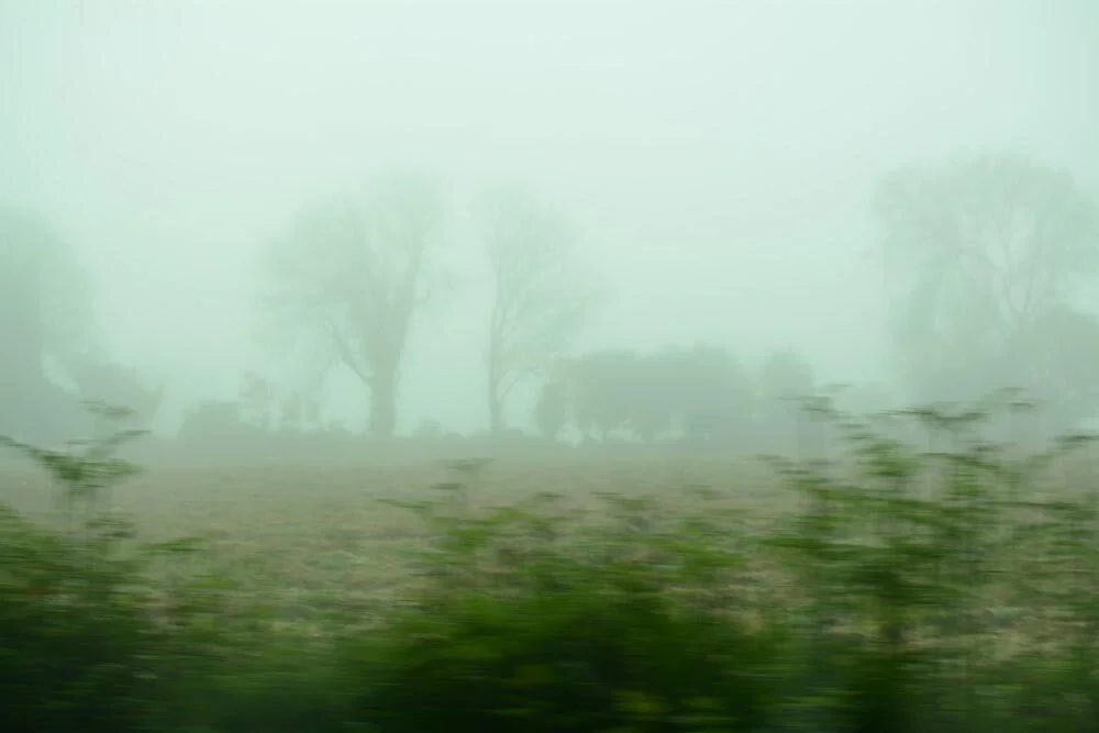 unnamed-12.jpg