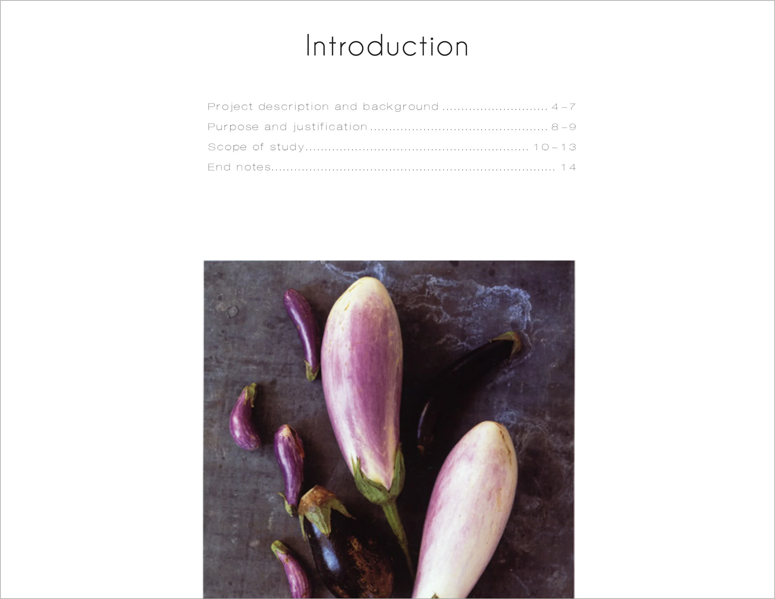 Thesis with outline2.jpg