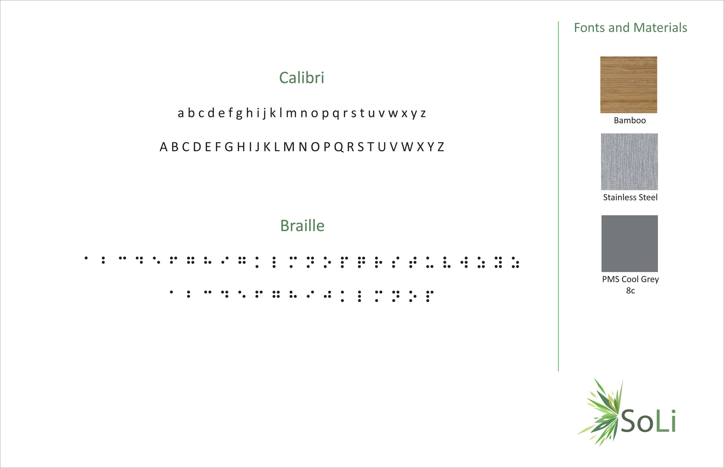 Soli with outline2.jpg