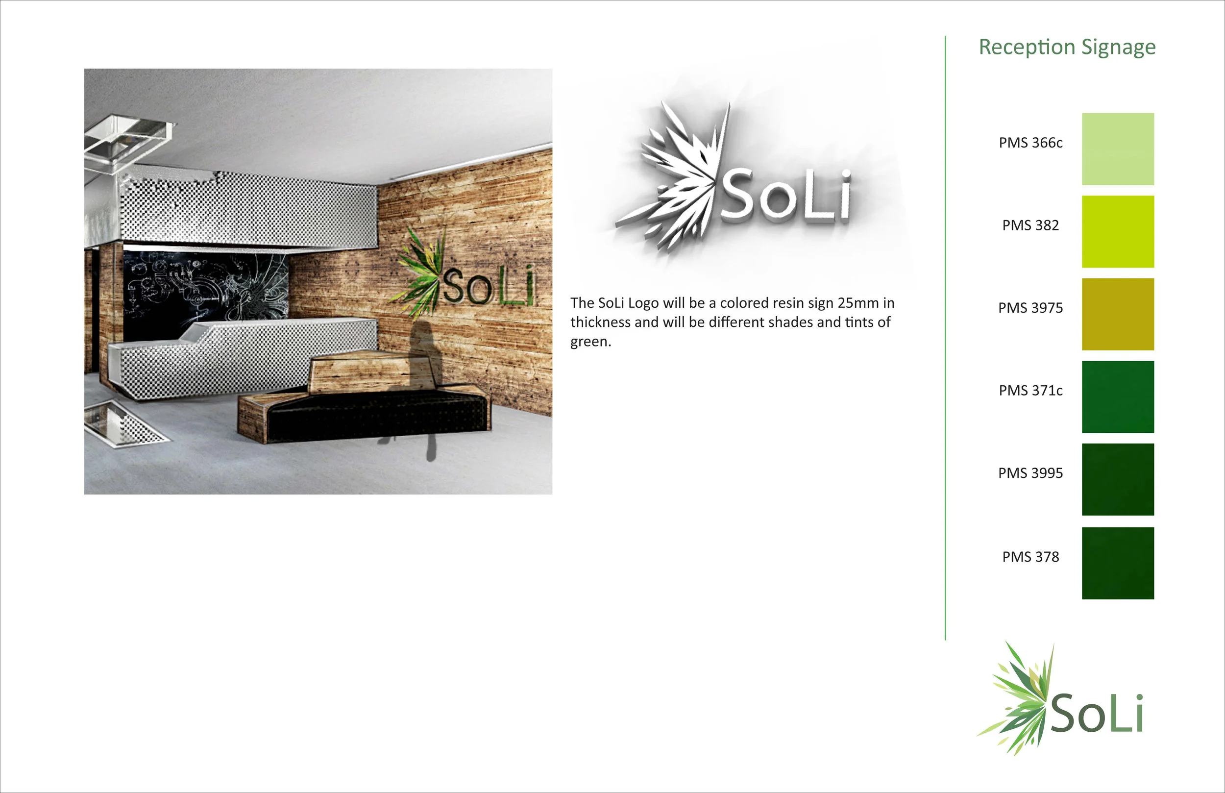 Soli with outline3.jpg