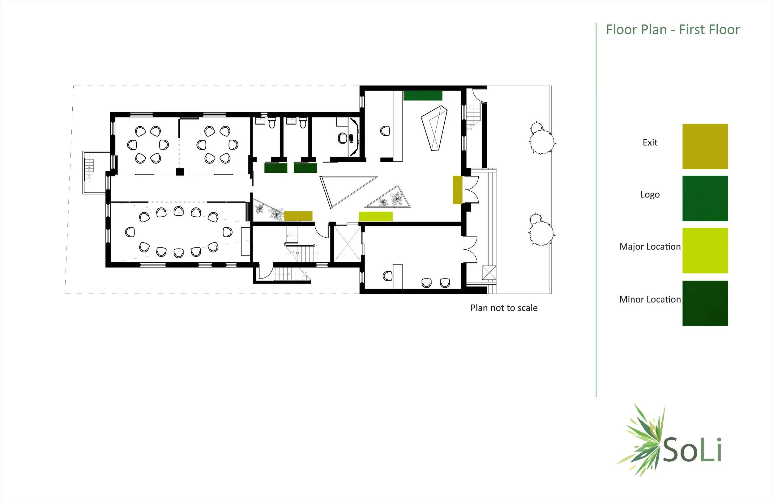 Soli with outline6.jpg