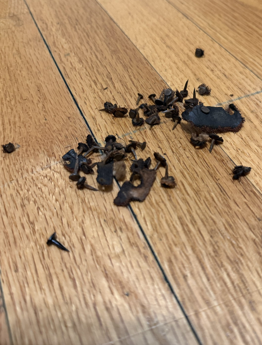 Screenshot 2026-03-11 at 6.00.39 PM.png