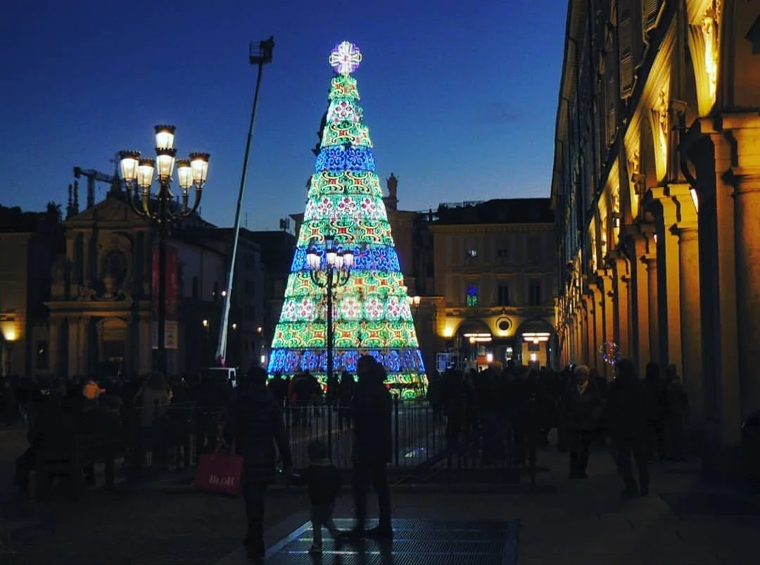 piazza san carlo albero.jpg