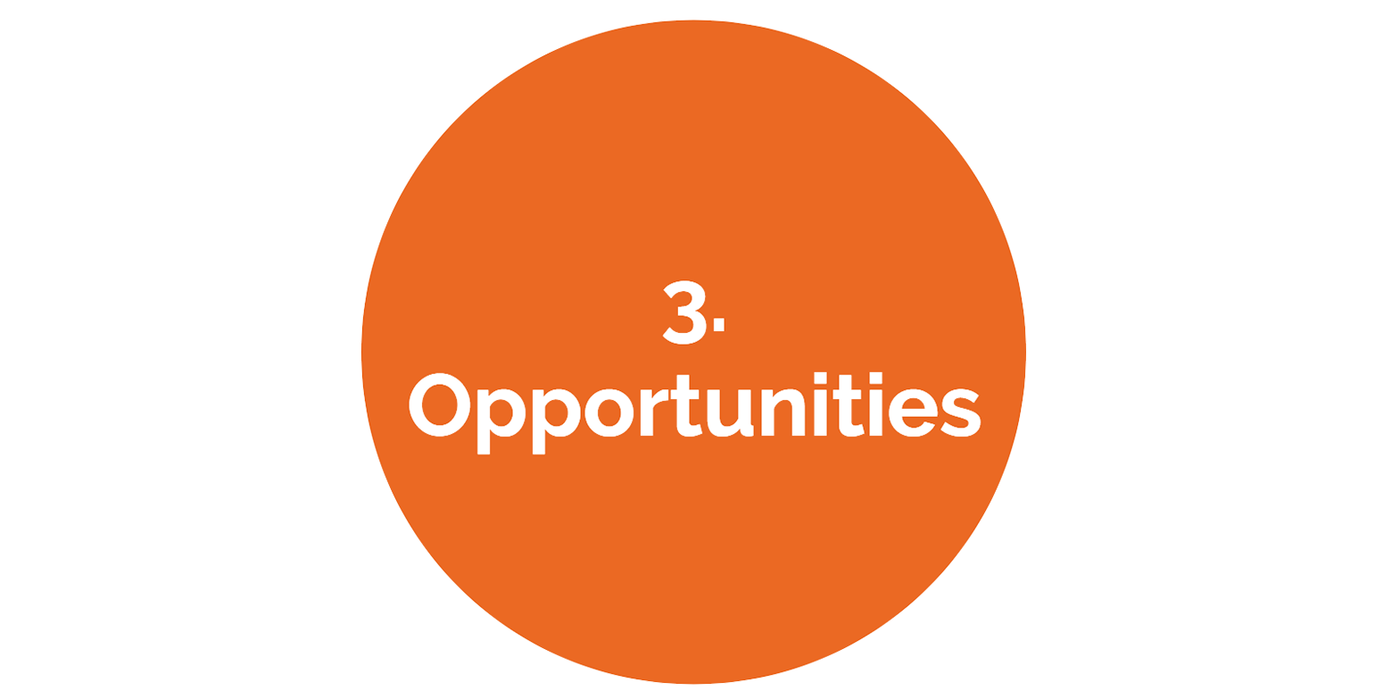 3 opportunities2.png