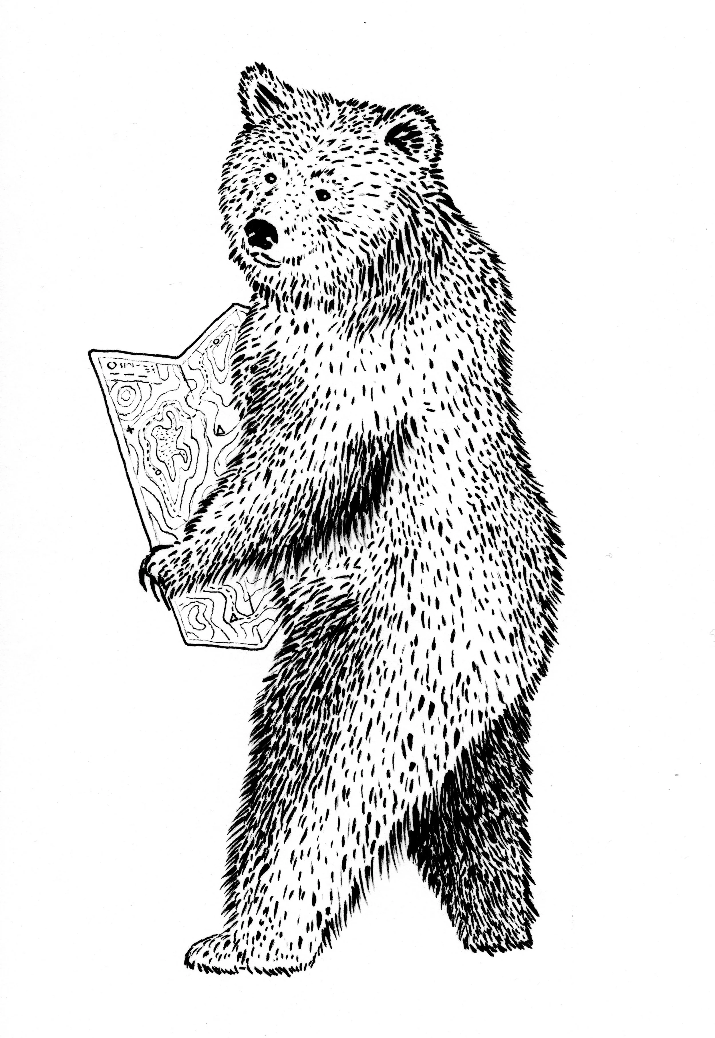 standing BEAR.jpg