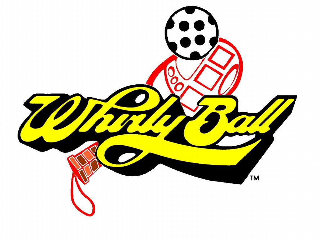 whirly ball.jpeg