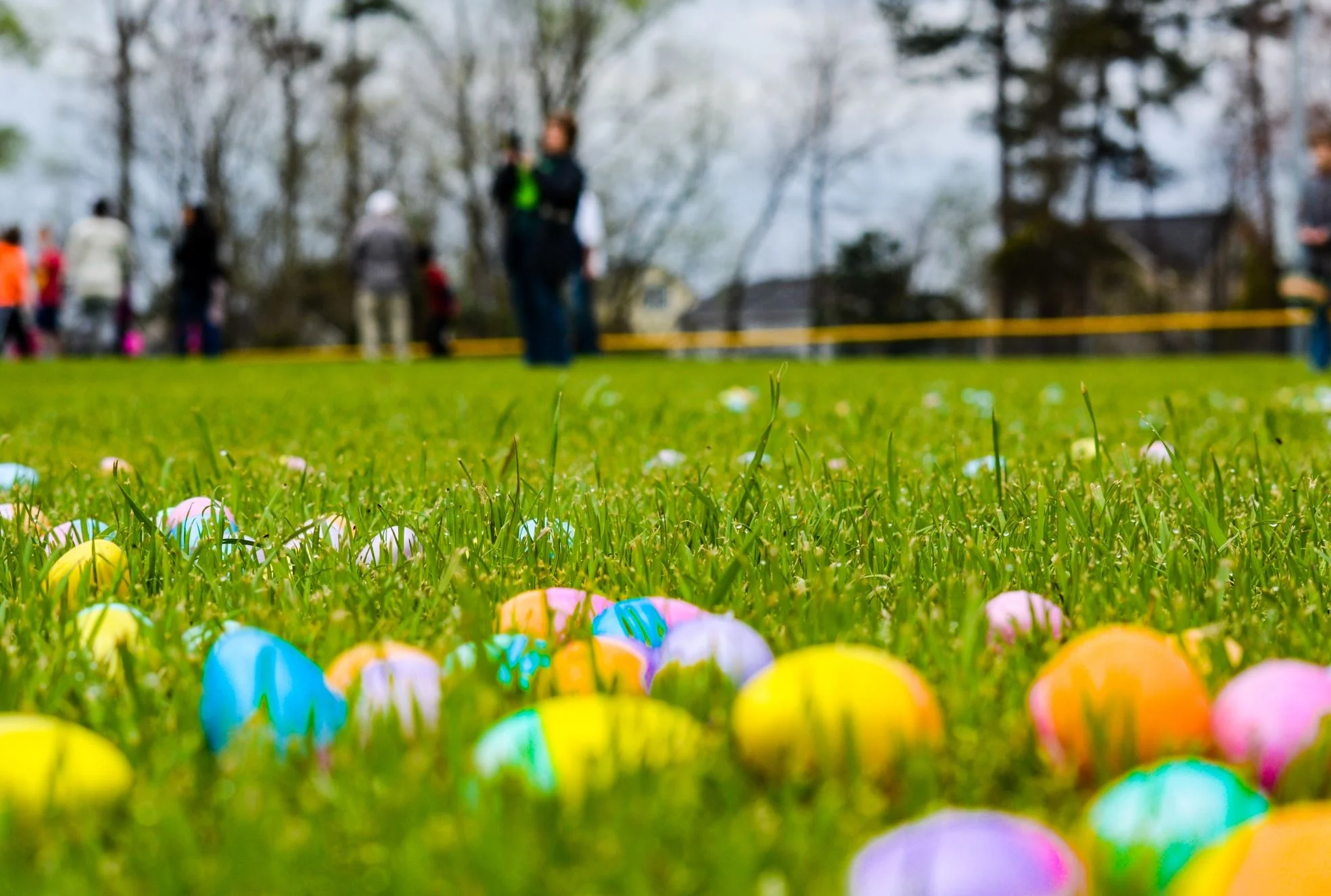 Easter egg hunt