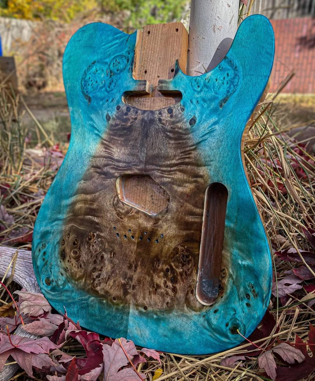 Rebirth Guitar Co custom telecaster body