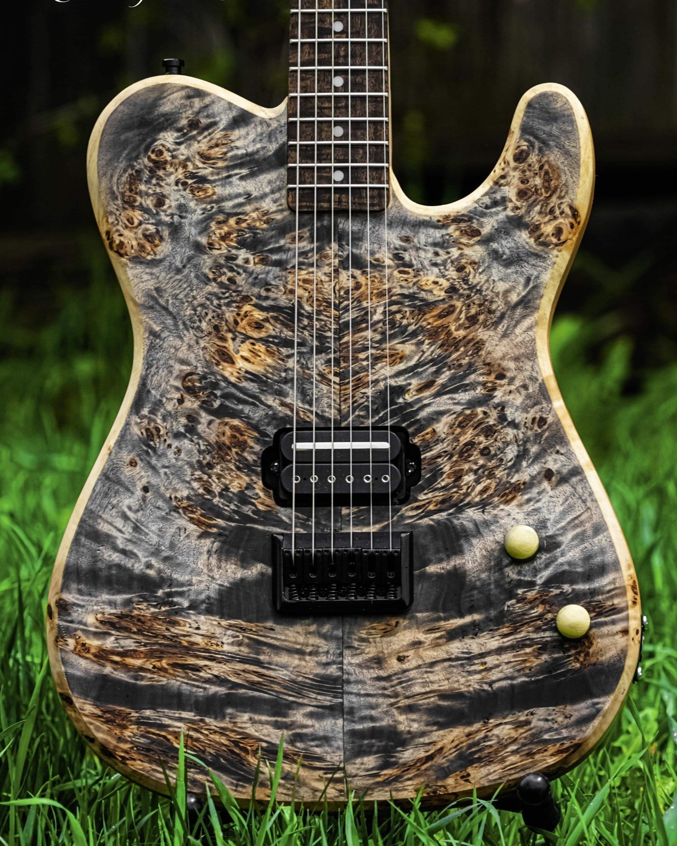 Rebirth Guitar Co Custom Telecaster