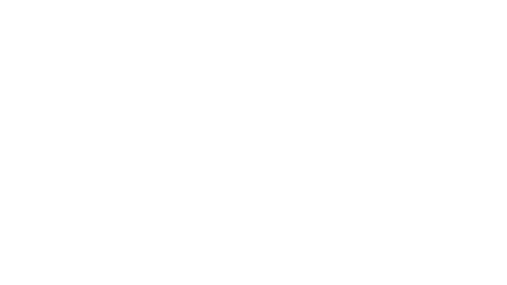 Rebirth Guitar Company 