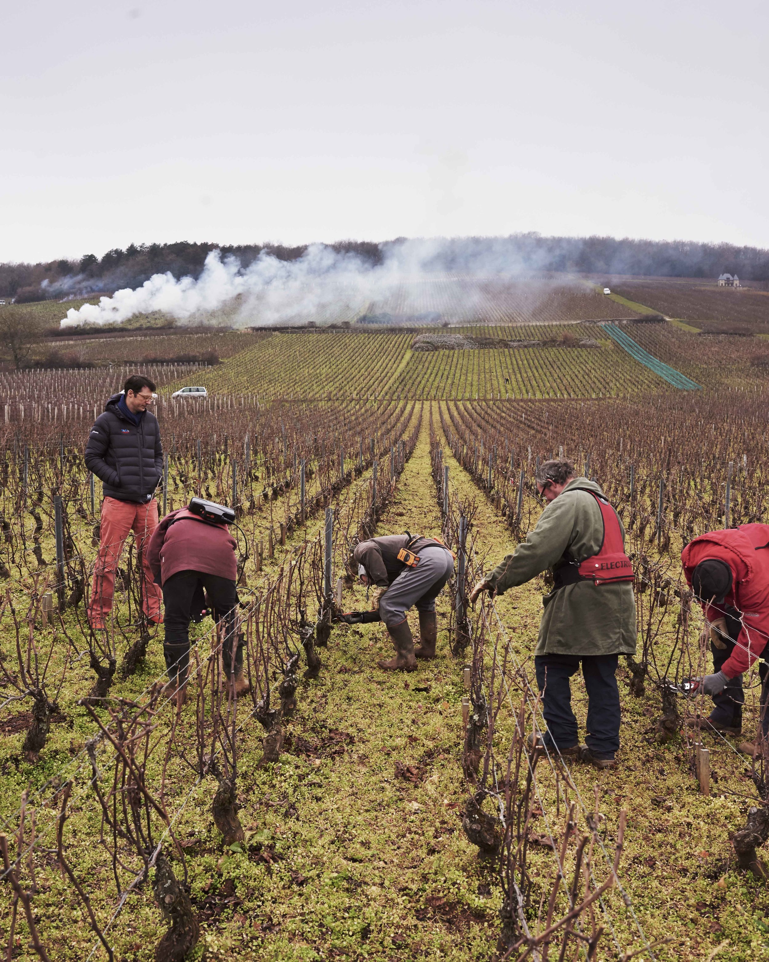 2017_11_29_ATLAS_OF_TASTE_BURGUNDY_77891.jpg