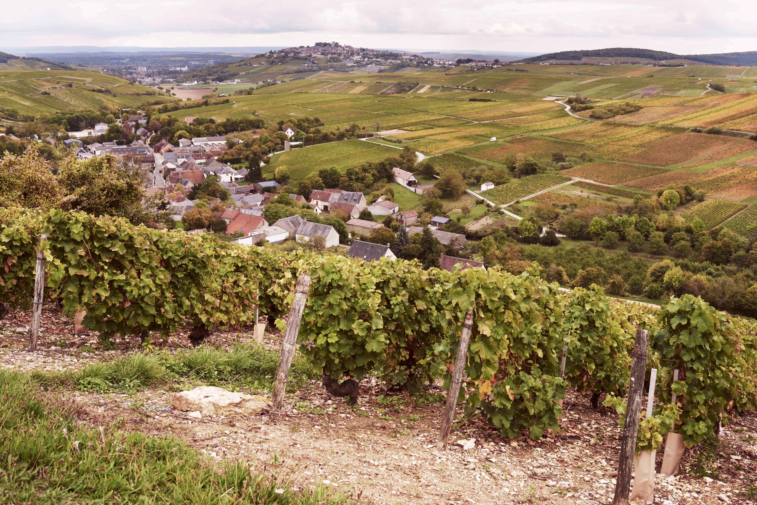 2017_10_10_ATLAS_OF_TASTE_FRANCE_SANCERRE_66694.jpg