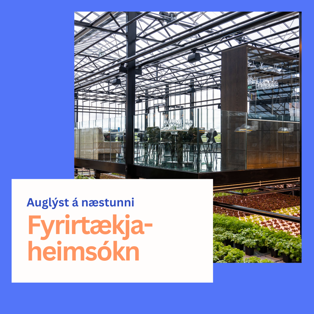 Fyrirtækjaheimsókn