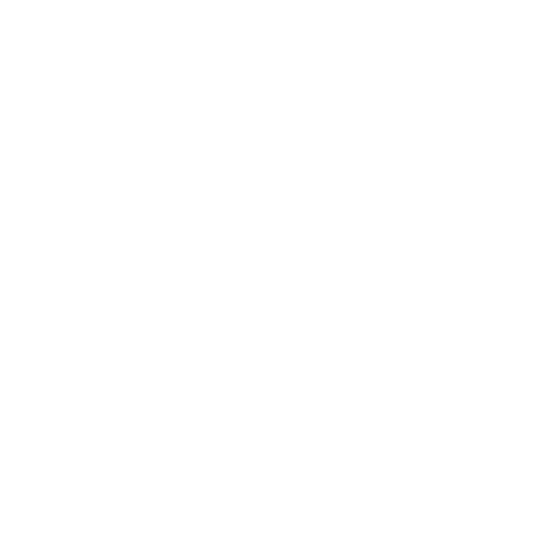 The Black Narrative Experience