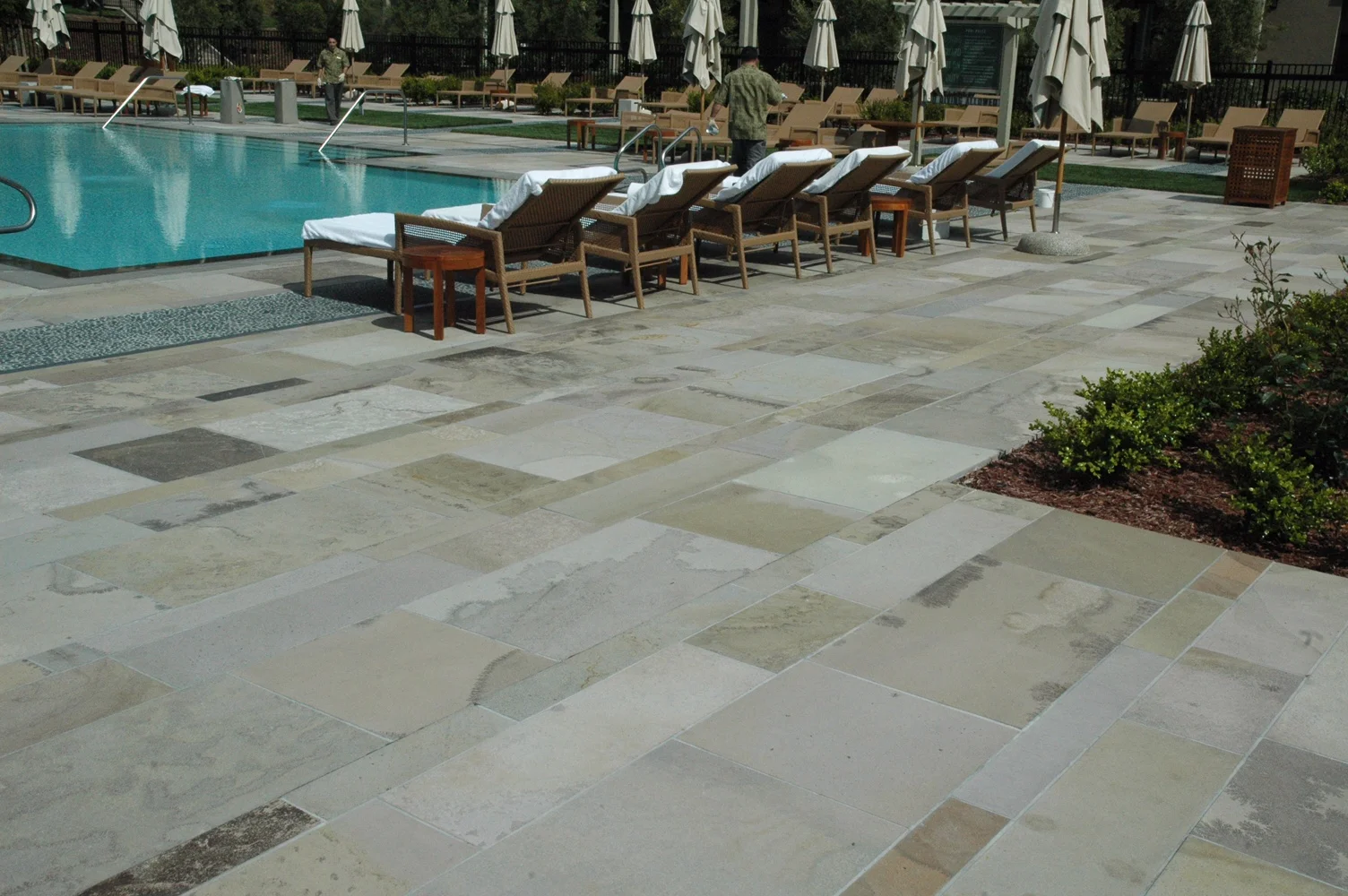 Tropical Porphyry