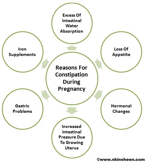 Figure 2 – Lays out the understood reasons for pregnancy related constipation. Iron supplements harden stool, gastric problems may lead to ulcers or irritation, increased pressure from the uterus decreases relaxation of the sphincters, hormonal changes create an imbalance, loss of appetite and excess intestinal water absorption cause your body to try and maintain its nutrients without expelling waste.