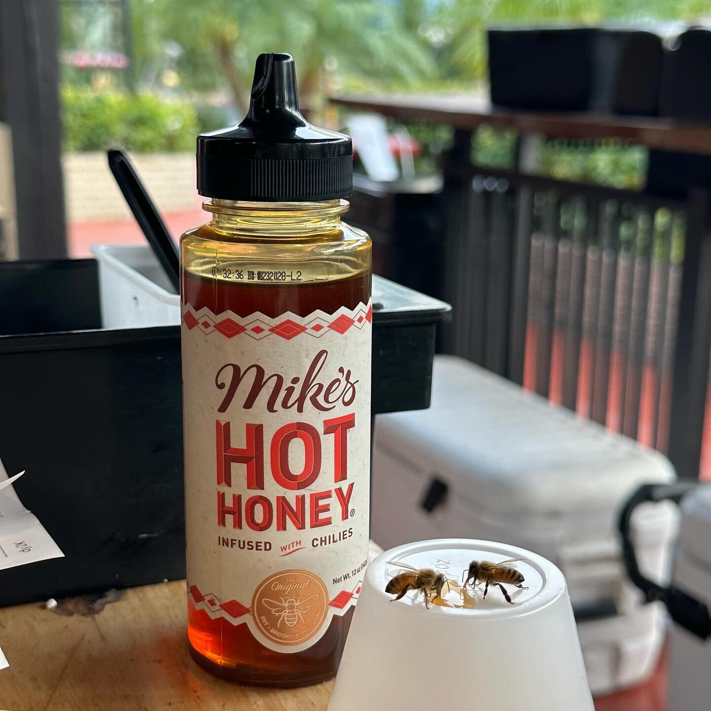 Our hot honey is the bee&rsquo;s knees 🐝💓

#shadrachsfieryfurnace #pizza #personalpies #madetoorder #custom #brickoven #familyowned #local #girlboss #under30 #woodfired #centralflorida #mountdoramarketplace #foodie #shoplocal #eatlocal #localmusici