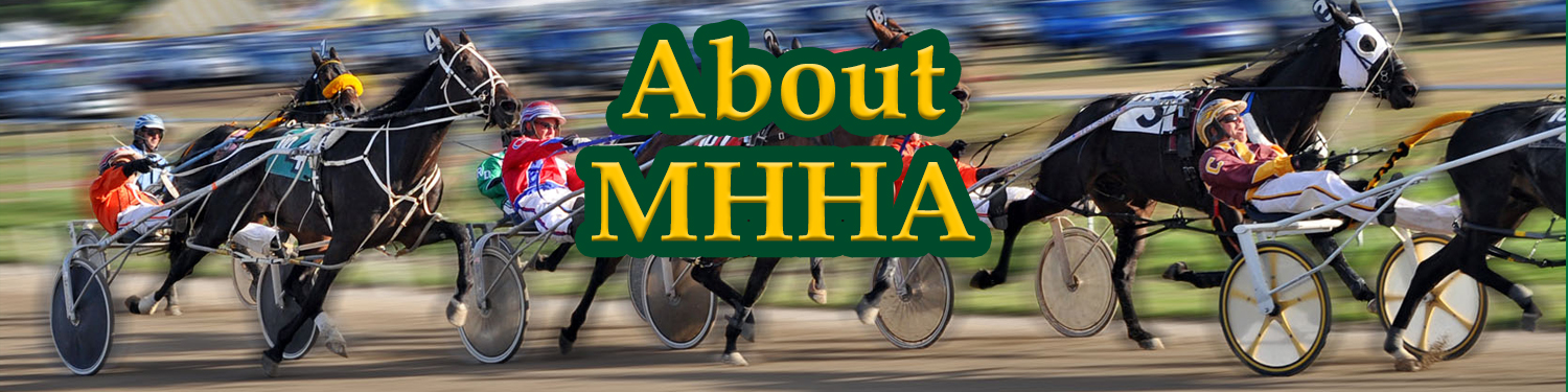 About MHHA banner.jpg