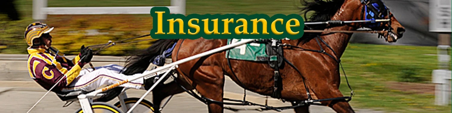 insurance banner.jpg
