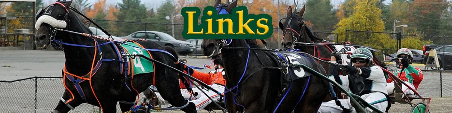 links banner.jpg