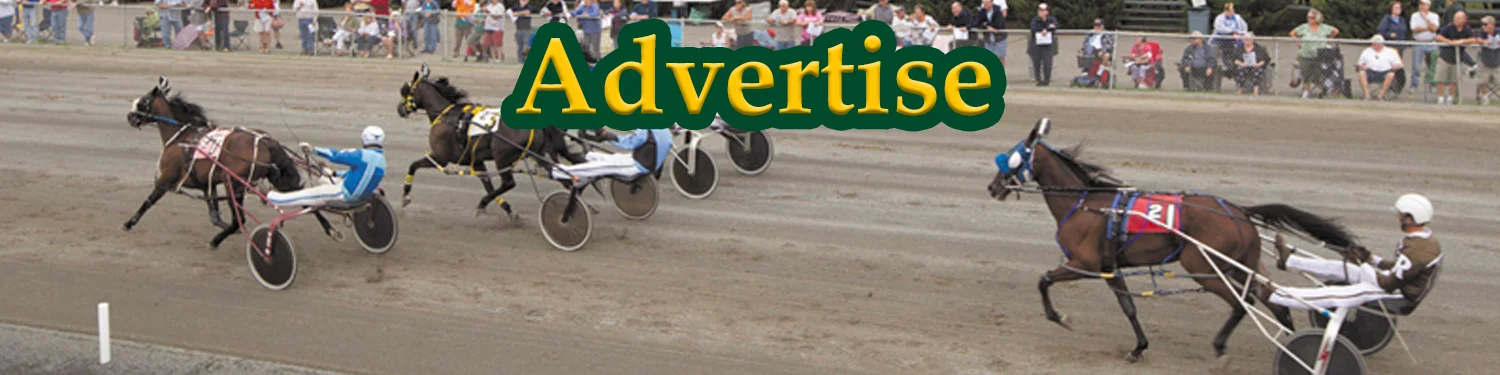 ADVERTISEbanner.jpg