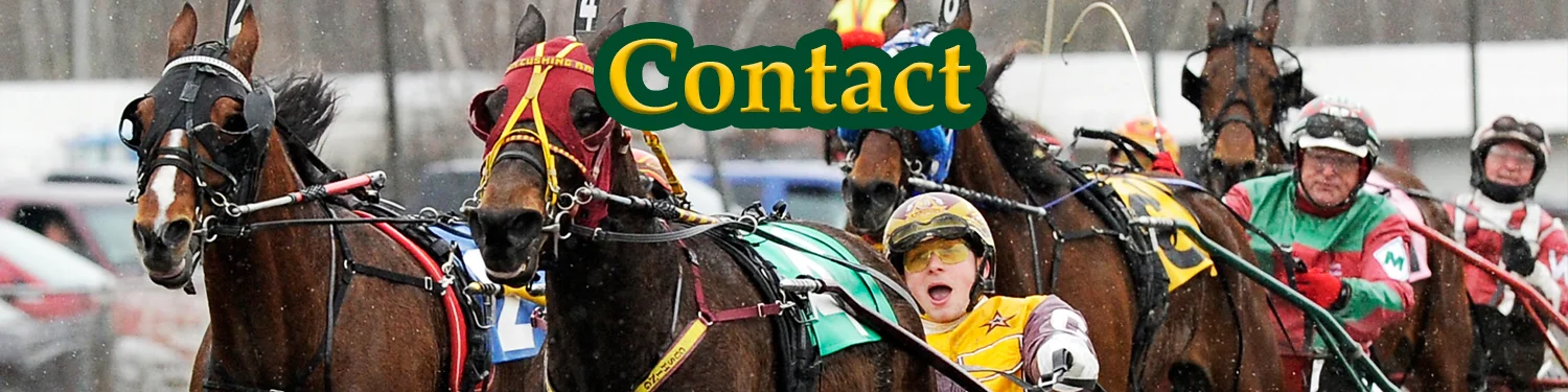 contact banner.jpg
