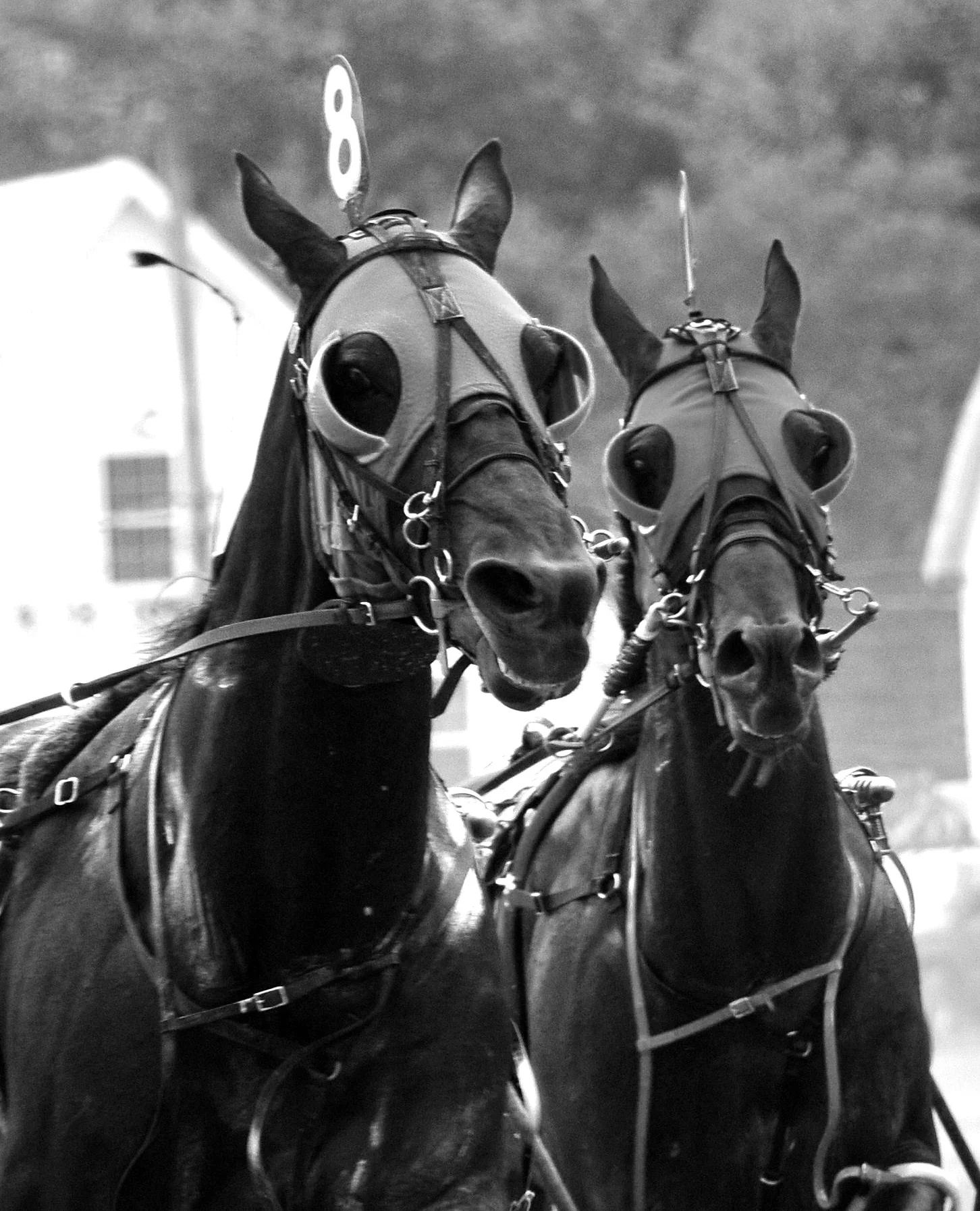 Friday Night Under The Lights! 