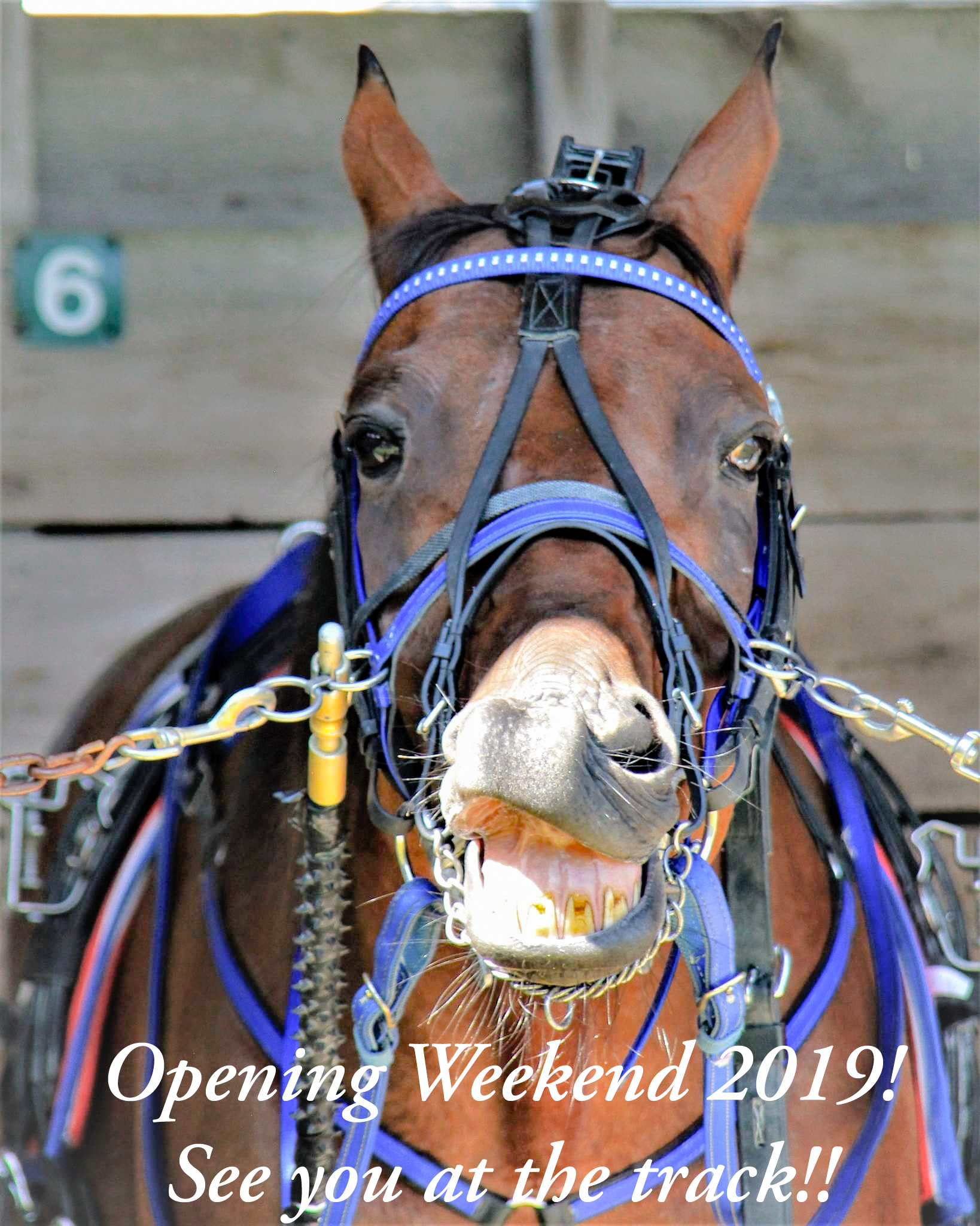Opening Day 2019 Maine Harness Racing 