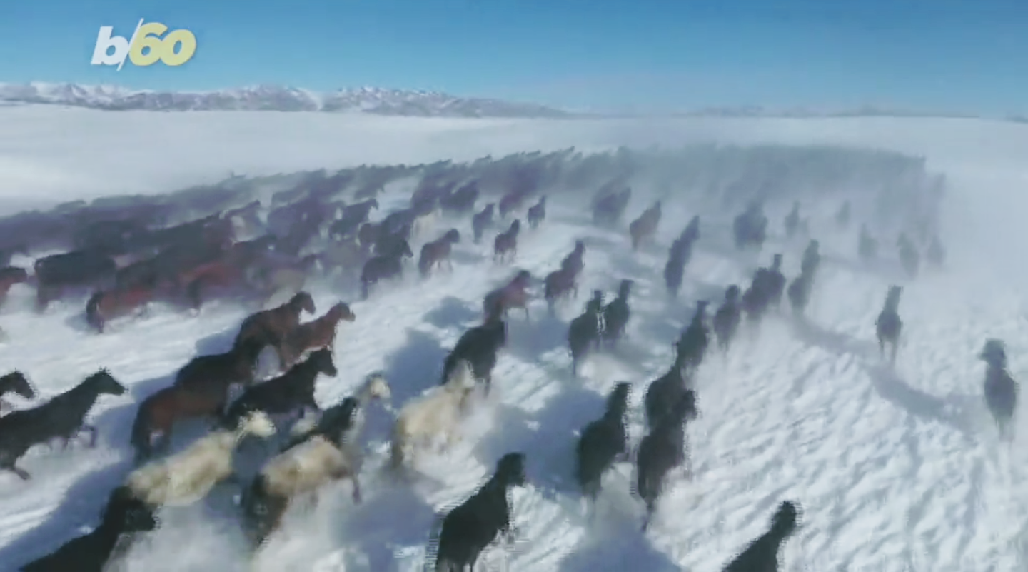 Check out this video of 10,000 horses -Maine Harness Racing is 92 days away from Opening Day