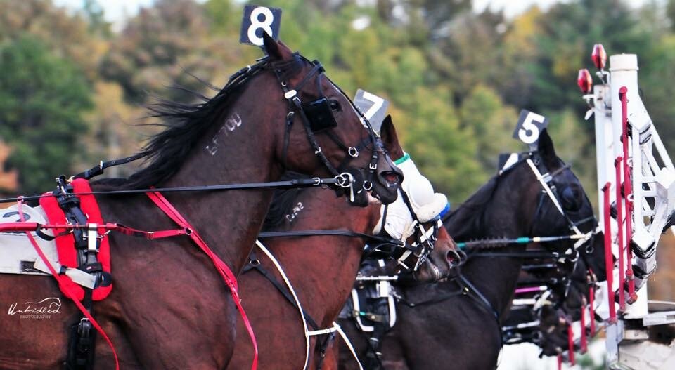 It's Post Time!!