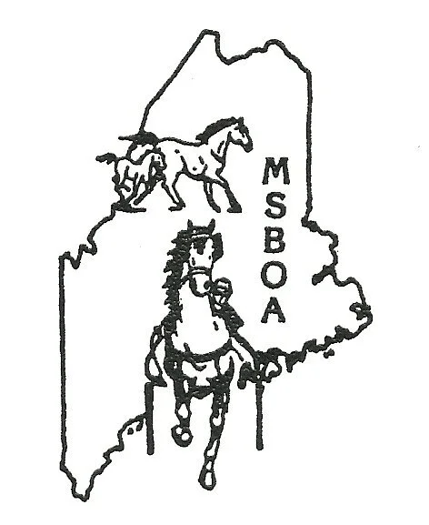 2021 Maine Sire Stakes Schedule is Approved