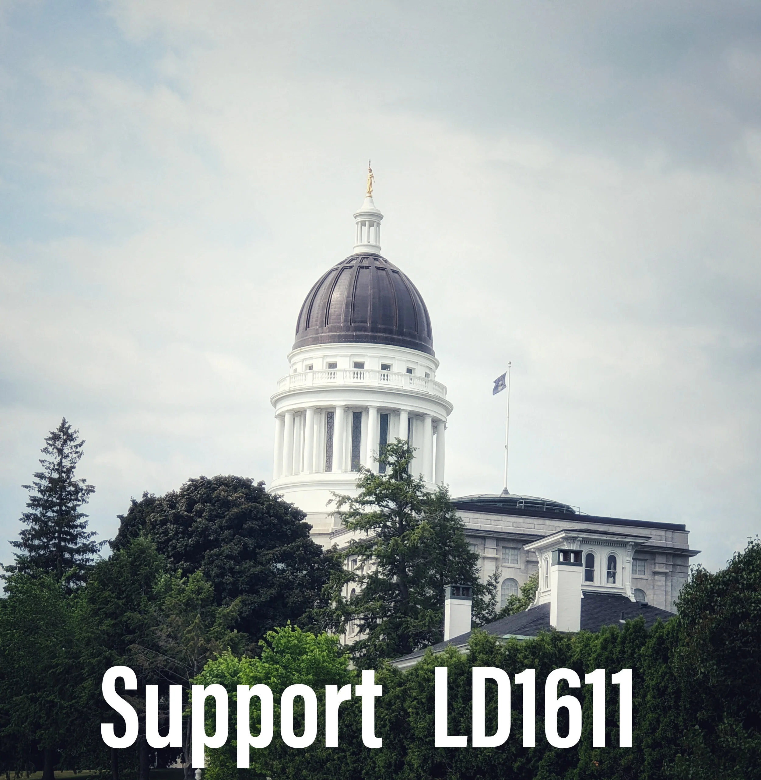 	Contact your Representative Today!