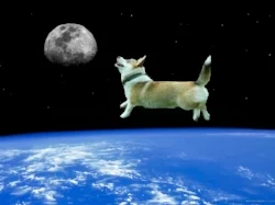 Space Corgi3.jpg