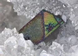 crystal590.jpg