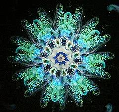 crystal304.jpg