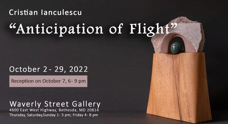 "Anticipation of Flight" Exhibit by Cristian Ianculescu 