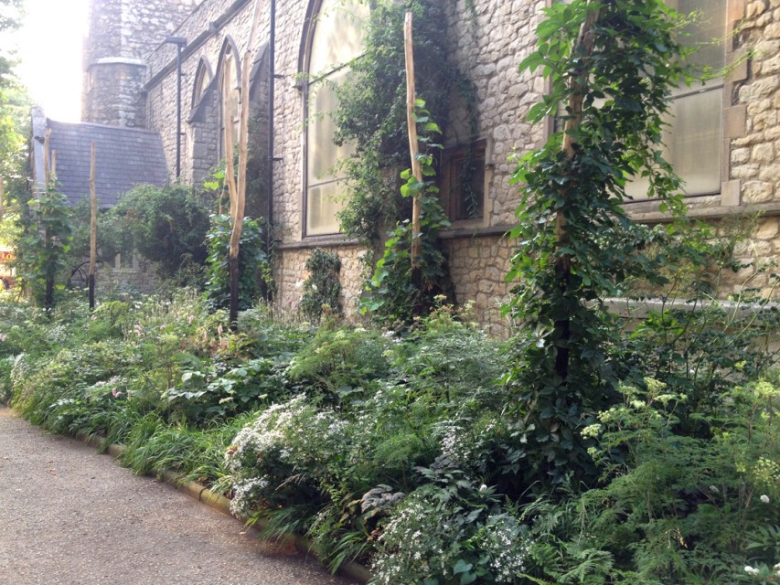 The planting aimed to capture the atmosphere of a deciduous Japanese woodland.